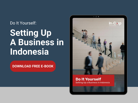 DIY Setting Up A Business in Indonesia ebook