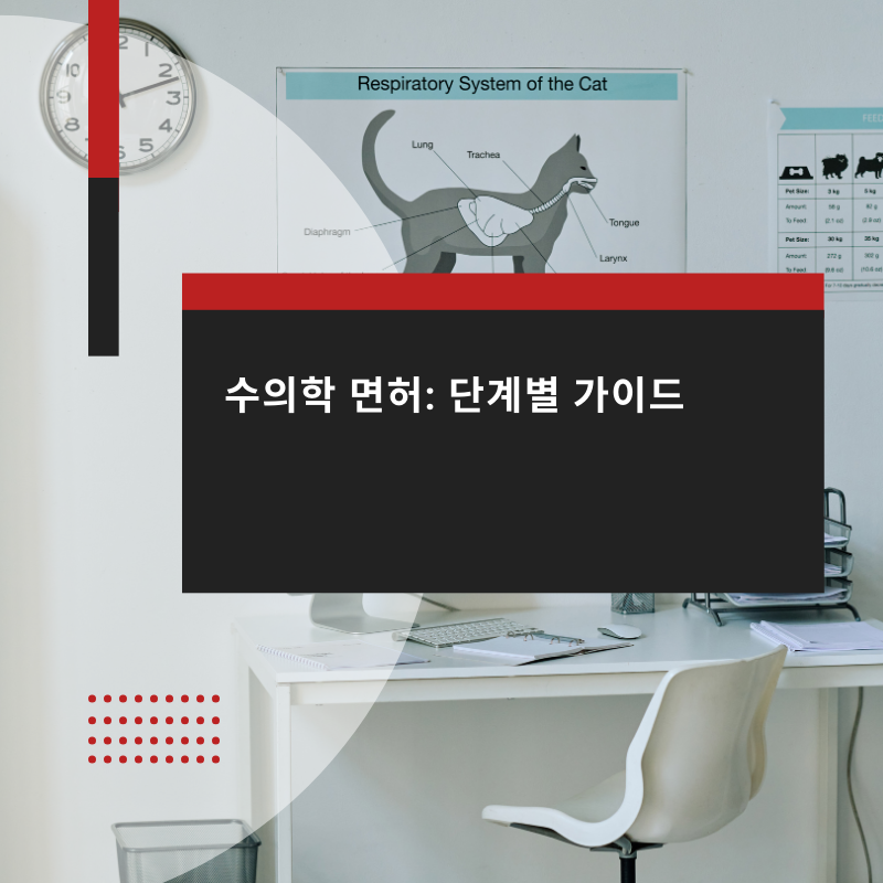 Veterinary-Medicine-Licensing-Step-by-Step-Guide-